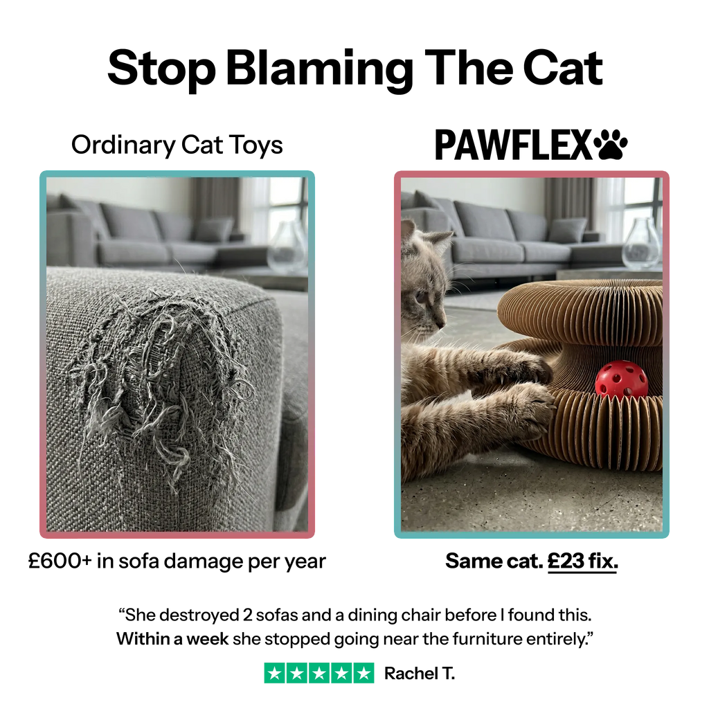 Pawflex™ Paw Relief