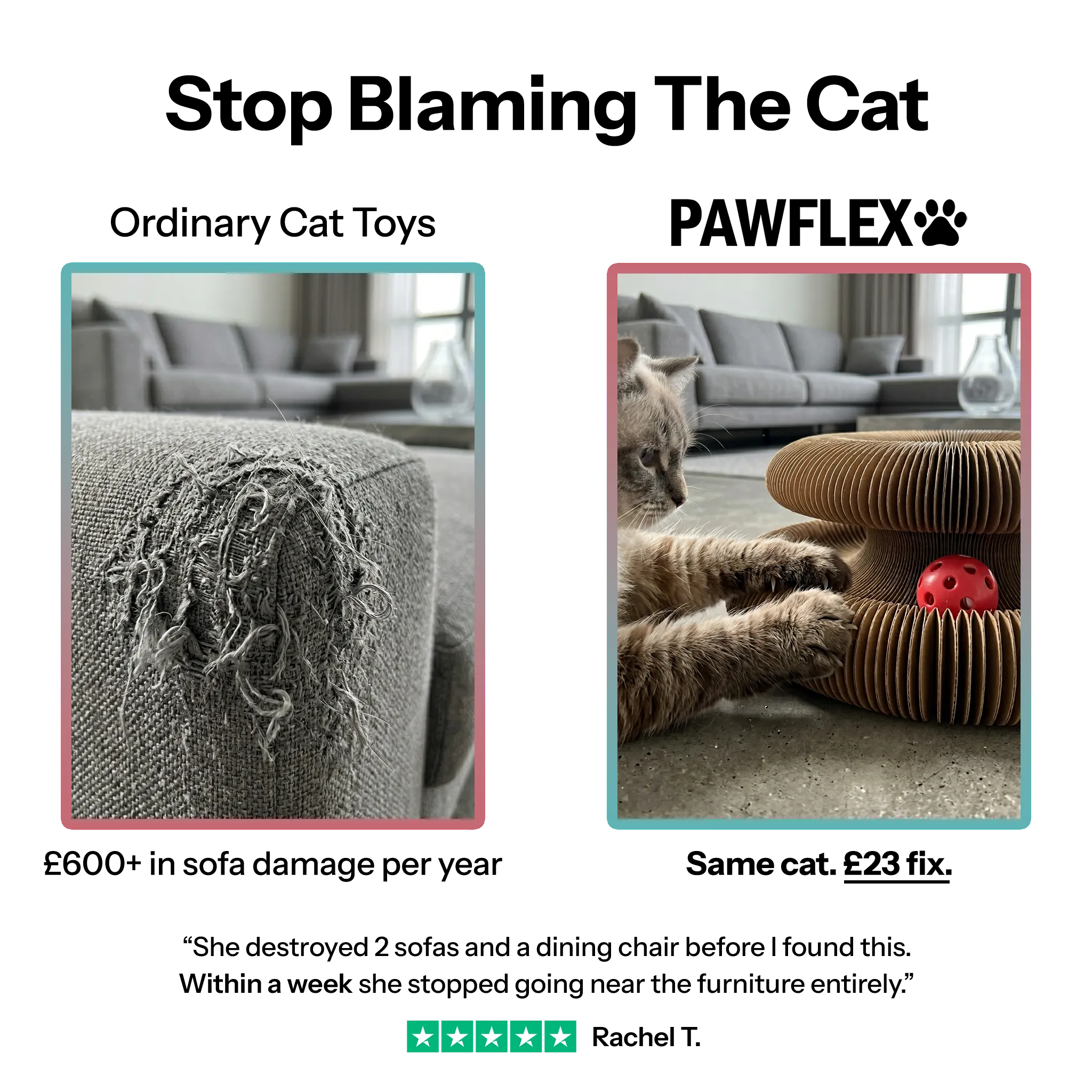 Pawflex™ Paw Relief