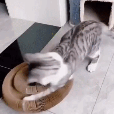 Pawflex™ Paw Relief